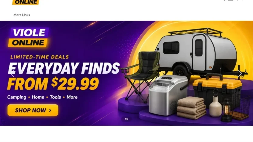 Non-Delivery Scam violeoline.com