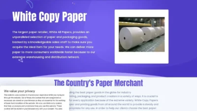 Non-Delivery Scam whitecopypaper.com