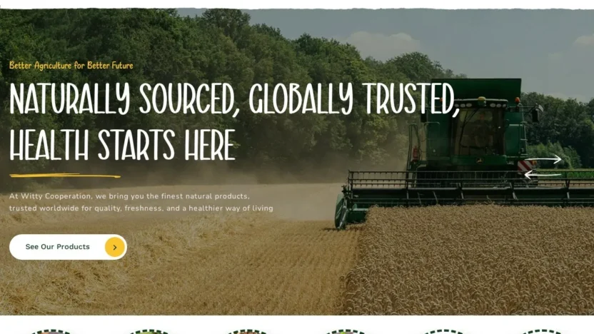 Commodity Scam wittycooperation.com