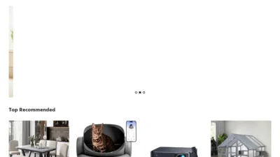 Non-Delivery Scam yueshe.store