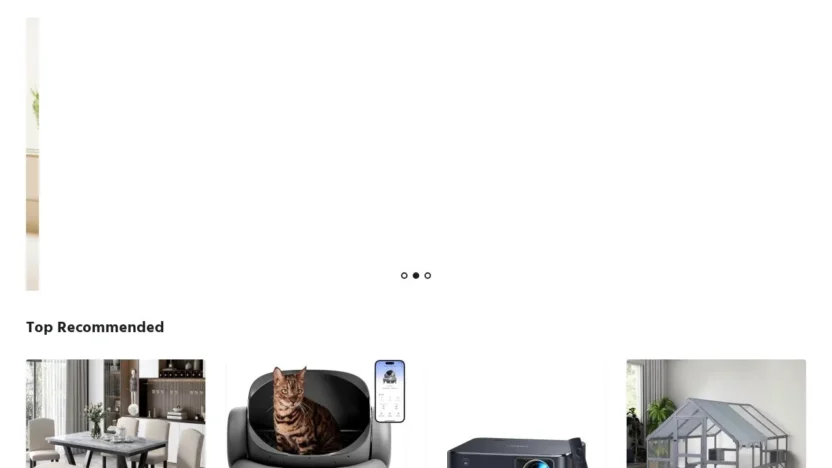 Non-Delivery Scam yueshe.store