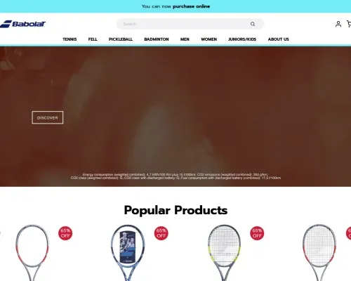 Screenshot of Sport Scam website 27578